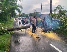Personil Polsek Wonosari Bantu Evakuasi Pohon Tumbang Akibat Terjangan Angin Puting Beliung