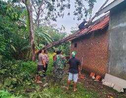 Sinergitas, Polisi bersama TNI dan Warga Tangani Dampak Puting Beliung di Bondowoso