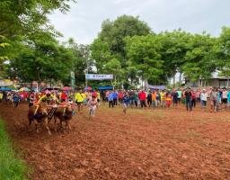 Polres Sumenep Melaksanakan Pengamanan Kerapan Sapi Piala Bupati Cup Semadura Tahun 2024