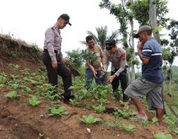 Ketua KTH Banjarejo Apresiasi Program KTLGK Polres Batu Tingkatkan Ekonomi Masyarakat