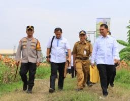 Pemerintah Kembali Panen Raya Jagung Di Tuban Jawa Timur
