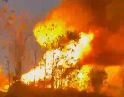 Kandang Ternak Ayam Terbakar dilalap Sijago merah, Kerugian mencapai Rp 750 Juta