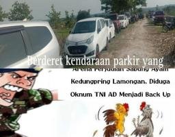 Arena Perjudian Sabung Ayam Kedungpring Lamongan, Diduga TNI AD Menjadi Back Up