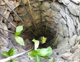 Krisis Air Bersih di Musim Kemarau Suara Warga Loleke