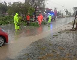 Gerak Cepat Anggota Polsek Rejoso dan Tim Operasi Zebra Semeru 2024 Polres Nganjuk Bersihkan Pohon Tumbang
