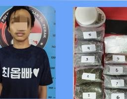 Polres Tanjung Perak Amankan Pengedar Ganja Kering Asal Dukuh Kupang