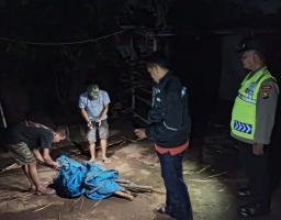 Polres Nganjuk Bongkar Tempat Diduga Judi Sabung Ayam di Kecamatan Ngronggot 