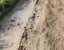 Jalan Desa Plampaan Rusak Parah, Hambat Aktivitas dan Ancam Keselamatan