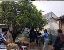 Polres Nganjuk Gerebek Arena Perjudian Sabung Ayam di Desa Sonoageng, Puluhan Motor dan barang Bukti Lain Diamankan