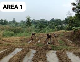 Dukung Ketahanan Pangan, Brimob Polri Siapkan 5 Ha Lahan untuk Tanam Jagung Bareng Warga Karawang Timur 