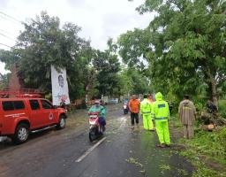 Kapolres Nganjuk Apresiasi Penanganan Cepat Pohon Tumbang di Rejoso