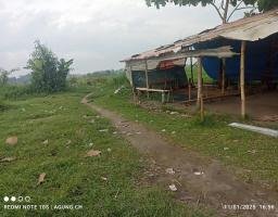 Diduga Judi Sabung Ayam di Mojokerto: Tudingan dan Penyangkalan