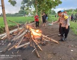 Polsek Sooko Bakar Lapak Judi Sabung Ayam
