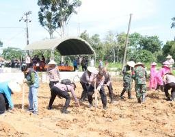 Gelorakan Swasembada Pangan Wakapolres Pamekasan Pimpin Penanaman Jagung di Pagantenan