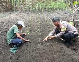 Bhabinkamtibmas Desa Senjayan Bersama Warga Manfaatkan Lahan Sela untuk Dukung Ketahanan Pangan