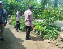 Dukung Ketahanan Pangan, Polsek Baron Pantau Budidaya Lele di Desa Mabung