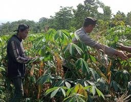 Bhabinkamtibmas Polres Pasuruan Jadi Motor Penggerak Ketahanan Pangan