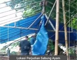 Lokasi Perjudian Sabung Ayam Beberapa titik di Jember, TNI-POLRI Bersihkan Penyakit Masyarakat