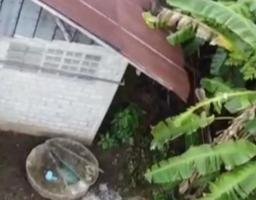 Limbah Pabrik Mi Soun PT Sinar Buana di Tulungagung Cemari Lingkungan, Warga Resah dan IPAL Terbengkalai