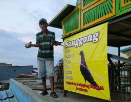 Jual Beli Merpati Balap di Kapasari Surabaya Tingkatkan Ekonomi Warga Sekitar