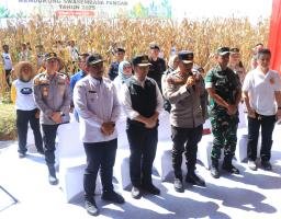 Dukung Swasembada Pangan, Kapolda Jatim Bersama Forkopimda Panen Raya Jagung Kuartal II di Ngawi