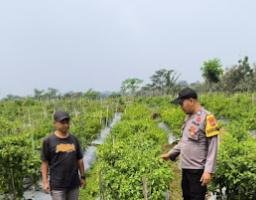 Polisi Ngawi Gelar Patroli P2B di Sine, Dukung Ketahanan Pangan Nasional