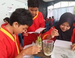 Belajar Mendalam Pertumbuhan Monokotil dan Dikotil di MTs Muhammadiyah 19 Surabaya