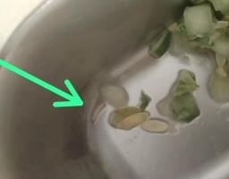 Makan Gratis Berbelatung di SMAN 1 Banyuates, Dapur Yayasan Al Bukhori Dinilai Abai Kebersihan