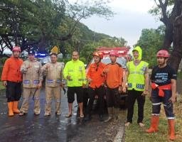 Polisi Sigap Tangani Pohon Tumbang di Jalan Raya Rejoso