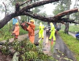 Respon Cepat Polisi dan BPBD Evakuasi Pohon Tumbang, Jalur Magetan – Bendo Kembali Lancar