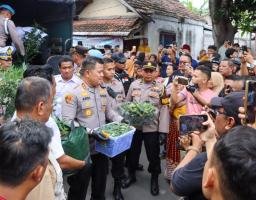 Polres Jombang Bongkar Budidaya Ganja di Rumah Kontrakan,110 Batang Disita
