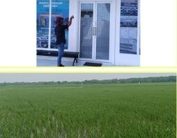 Bangunan Tanpa Ijin di Lahan Sawah Dilindungi Milik Oknum PT HBM. Harus Ditindak