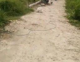 Swadaya Perbaikan Jalan Desa, Warga Tengket Arosbaya Kompak Bangun Akses Antar Dusun