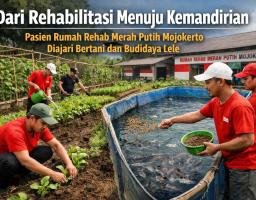 Rumah Rehab Merah Putih Jombang Bekali Pasien dengan Keterampilan Menanam dan Budidaya Ikan Lele