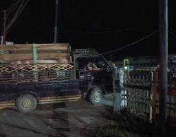 "Kadis Pertanian Gunungsitoli 'Tak Ada Kendala', Babi Ilegal Tetap Merajalela: Kebohongan atau Kecerobohan?"