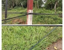 Tak Kunjung Ditindak, Kabel Menjuntai di Perbatasan Makam Agung–Dlemer Arosbaya Masih Ancam Pengguna Jalan