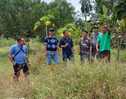 BUMD Nias Barat Canangkan Pengembangan 11 Hektare Sawah Terlantar di Lolomboli