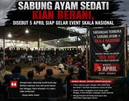 Arena Judi Sabung Ayam Sedati Kembali Menggila, Warga Resah—Diduga Siap Gelar Hajatan “Big Bos” Nasional