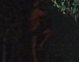 Gangguan WiFi di Malam Hari, Teknisi PT Bach Multi Global Diduga Langgar Prosedur K3
