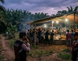 Diduga Arena Sabung Ayam di Dusun Bedengan Ambulu Beroperasi, Muncul Dugaan Adanya Backing Oknum Aparat