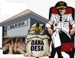 "Uang Rakyat Jadi Bangkai di Hilimayo, Pj Kades Salahkan Wabah Babi Tapi Takut Beberkan Nilai Anggaran ke Publik"
