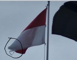 Bendera Merah Putih Robek Berkibar di Halaman Kantor Bupati Nias Barat, Warga: Segera Diganti, Ini Lambang Negara!