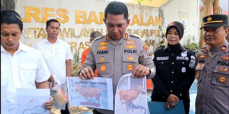 Polres Bangkalan Berhasil Tangkap Pelaku Maling Sapi di Lombok