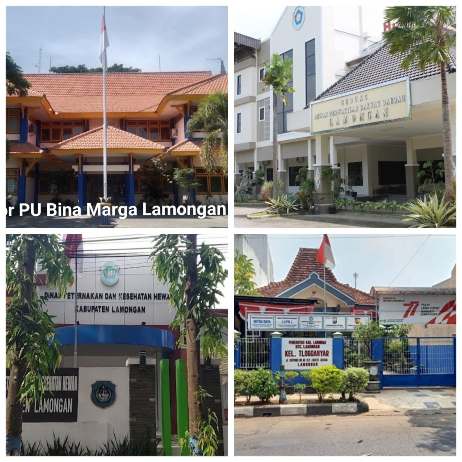 Ketum AMI ; Beberapa Dugaan Kasus Korupsi Seperti Hilang Ditelan Bumi, Bentuk Ketidak Profesional Kejari Lamongan