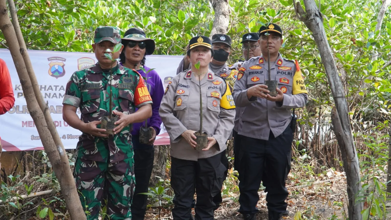 Dalam Rangka Polri Melestarikan Lingkungan, SDM Polrestabes Surabaya Tanam Ratusan Pohon Mangrove