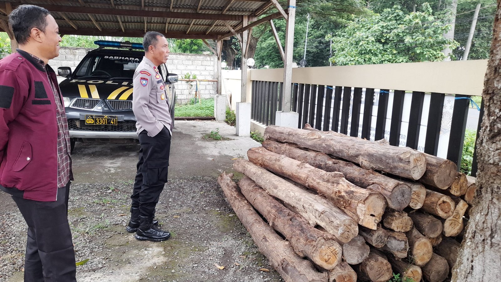 Sebanyak 81 log atau kayu jati super yang diamankan, saat ini berada di mako Polsek Klabang Resor Bondowoso (21/03). Menurut Kapolsek Klabang, IPTU Neishin, kayu yang diduga hasil illegal logging ini berasal dari tanaman milik Perhutani di petak 78a BKPH klabang KPH Bondowoso.