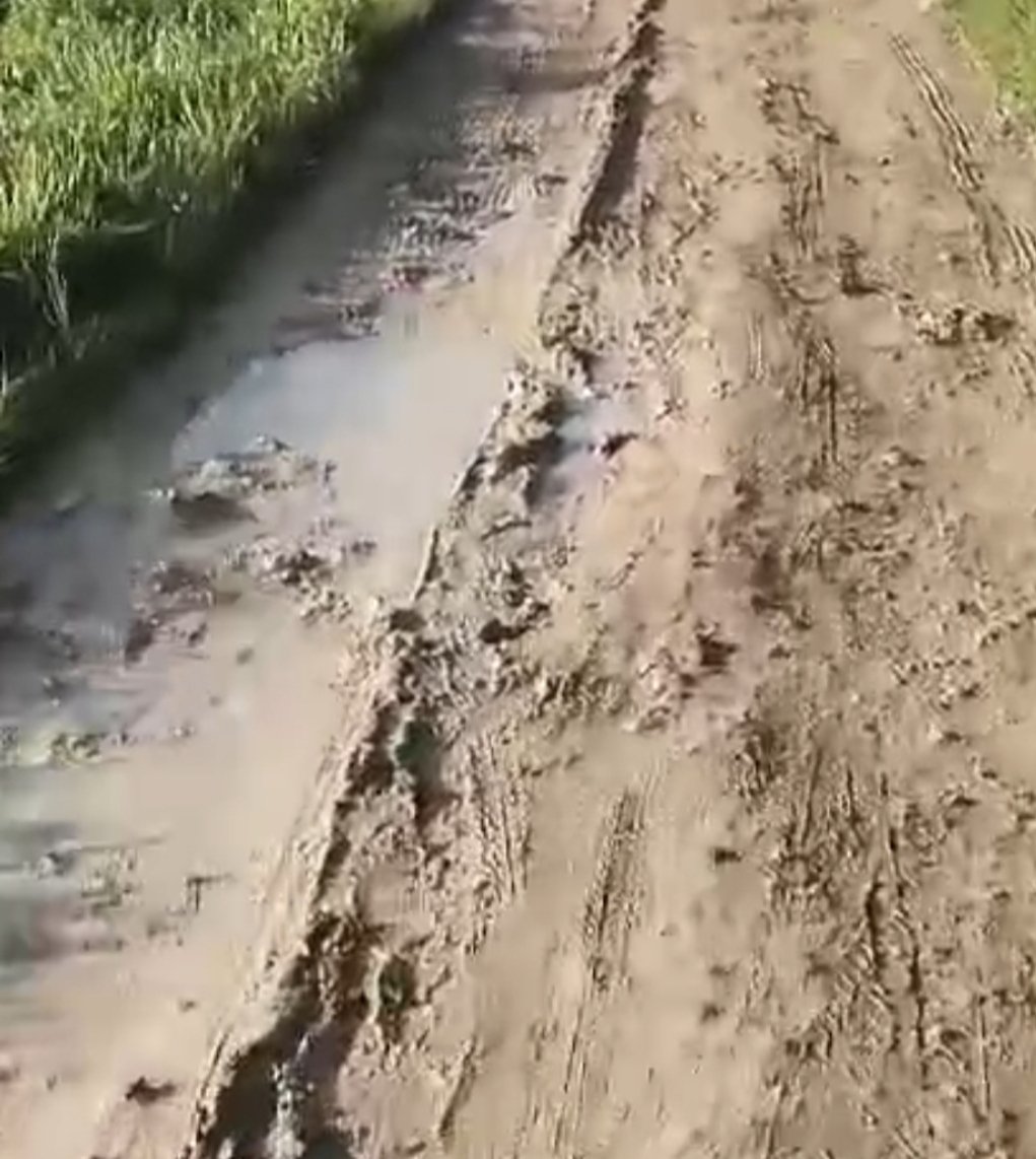 Jalan Desa Plampaan Rusak Parah, Hambat Aktivitas dan Ancam Keselamatan