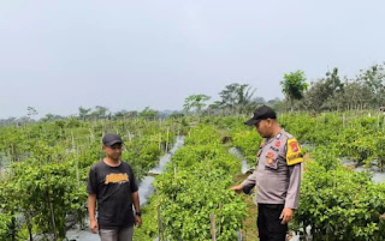 Polisi Ngawi Gelar Patroli P2B di Sine, Dukung Ketahanan Pangan Nasional