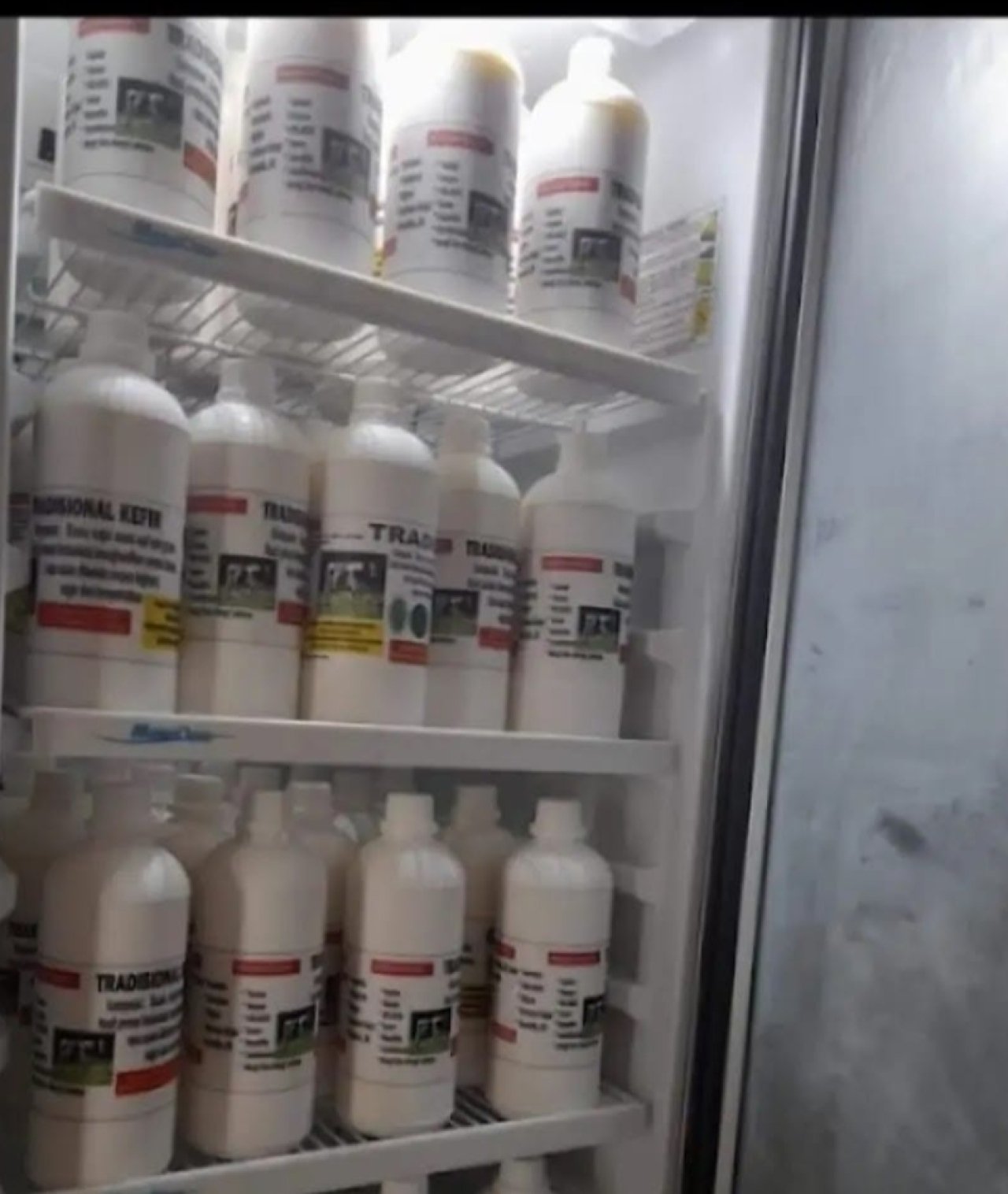 Kefir Lebih dari Sekadar Susu Fermentasi, Superfood Probiotik untuk Kesehatan Optimal