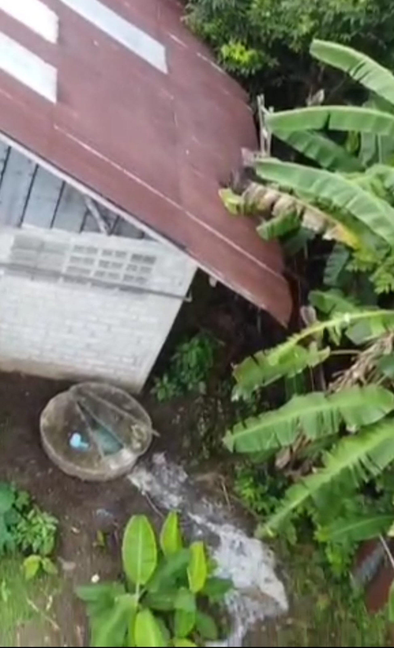 Limbah Pabrik Mi Soun PT Sinar Buana di Tulungagung Cemari Lingkungan, Warga Resah dan IPAL Terbengkalai